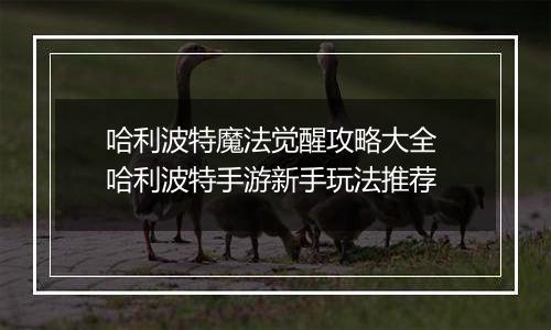 哈利波特魔法觉醒攻略大全 哈利波特手游新手玩法推荐