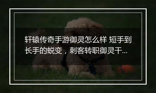 轩辕传奇手游御灵怎么样 短手到长手的蜕变，刺客转职御灵干货起底