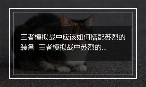 王者模拟战中应该如何搭配苏烈的装备  王者模拟战中苏烈的装备搭配推荐