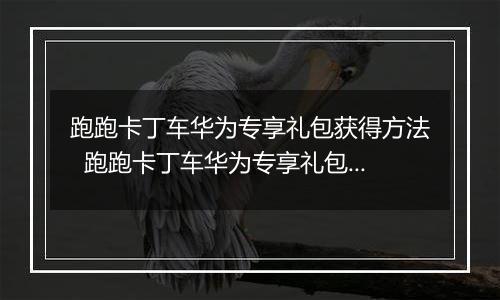 跑跑卡丁车华为专享礼包获得方法  跑跑卡丁车华为专享礼包怎么获得