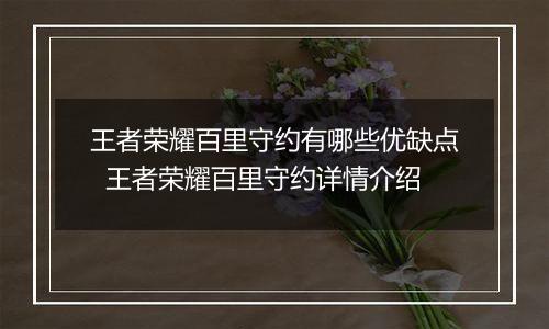 王者荣耀百里守约有哪些优缺点  王者荣耀百里守约详情介绍