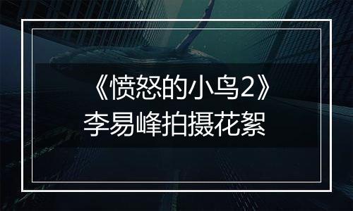 《愤怒的小鸟2》李易峰拍摄花絮