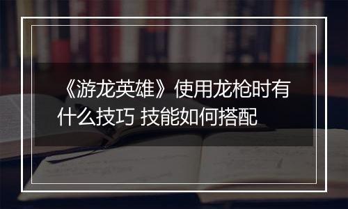 《游龙英雄》使用龙枪时有什么技巧 技能如何搭配
