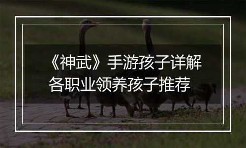 《神武》手游孩子详解 各职业领养孩子推荐