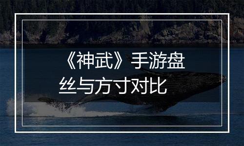 《神武》手游盘丝与方寸对比