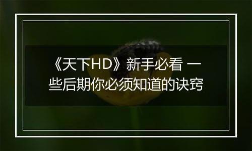 《天下HD》新手必看 一些后期你必须知道的诀窍