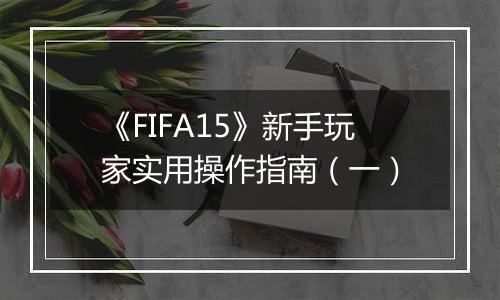 《FIFA15》新手玩家实用操作指南（一）