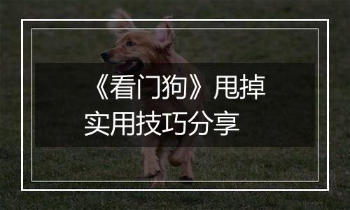 《看门狗》甩掉实用技巧分享
