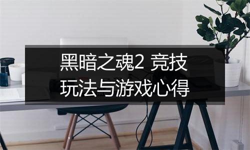 黑暗之魂2 竞技玩法与游戏心得