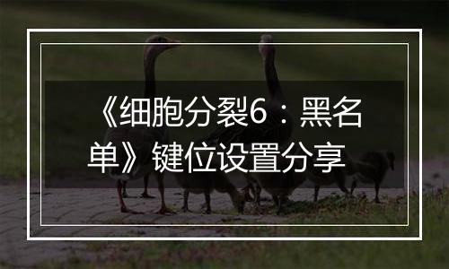 《细胞分裂6：黑名单》键位设置分享