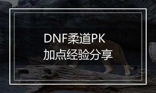 DNF柔道PK加点经验分享