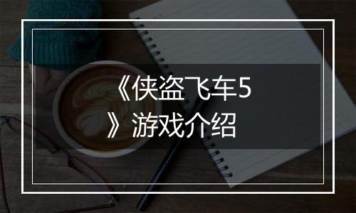 《侠盗飞车5》游戏介绍