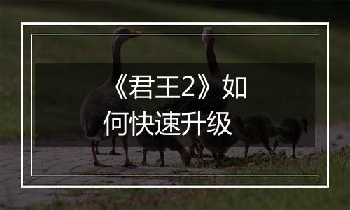《君王2》如何快速升级