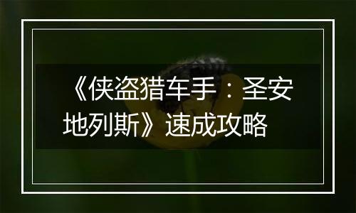 《侠盗猎车手：圣安地列斯》速成攻略
