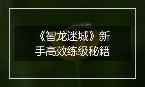 《智龙迷城》新手高效练级秘籍