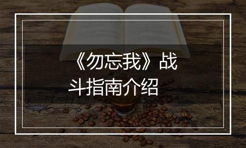 《勿忘我》战斗指南介绍