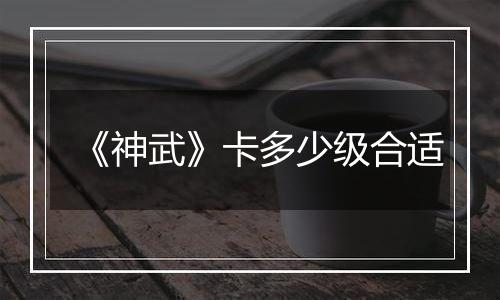 《神武》卡多少级合适