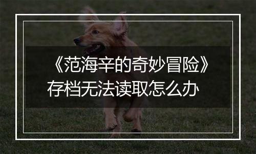 《范海辛的奇妙冒险》存档无法读取怎么办