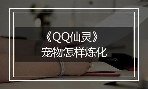 《QQ仙灵》宠物怎样炼化