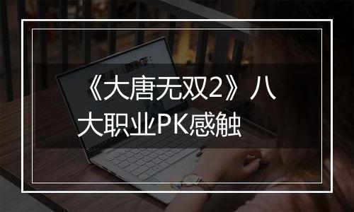 《大唐无双2》八大职业PK感触