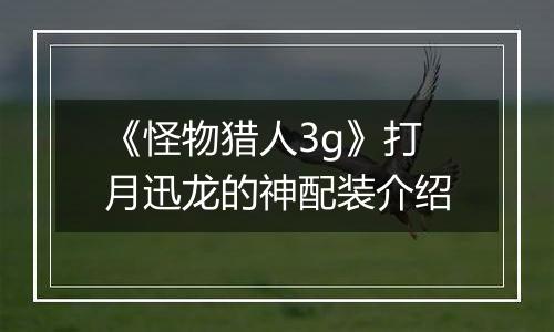 《怪物猎人3g》打月迅龙的神配装介绍