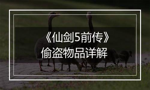 《仙剑5前传》偷盗物品详解