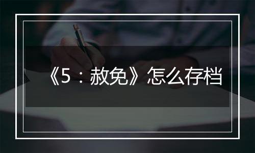 《5：赦免》怎么存档