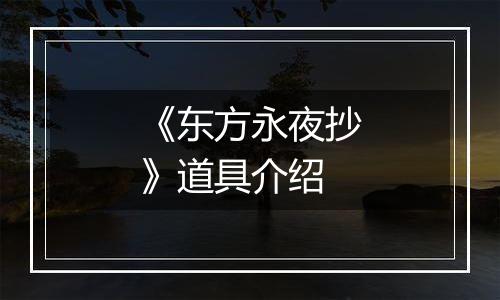 《东方永夜抄》道具介绍