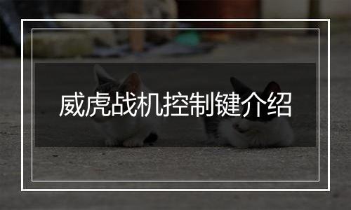 威虎战机控制键介绍