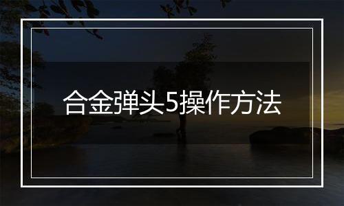 合金弹头5操作方法