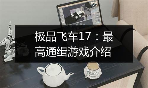 极品飞车17：最高通缉游戏介绍