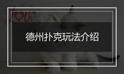 德州扑克玩法介绍