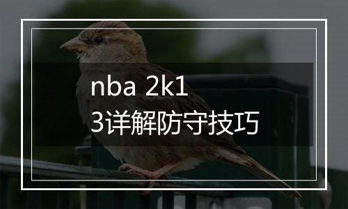 nba 2k13详解防守技巧