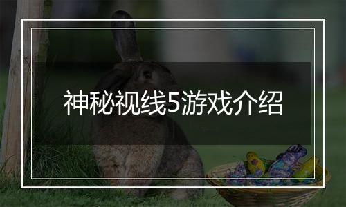 神秘视线5游戏介绍