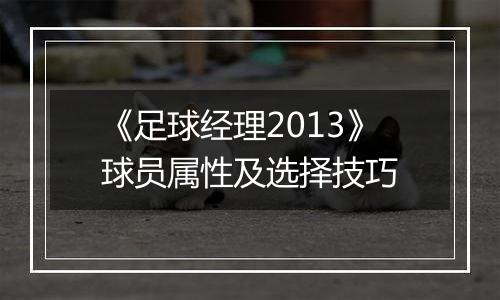 《足球经理2013》球员属性及选择技巧