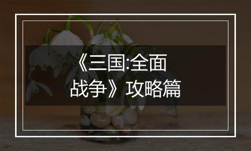 《三国:全面战争》攻略篇