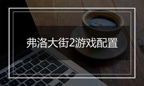 弗洛大街2游戏配置