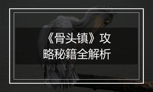 《骨头镇》攻略秘籍全解析