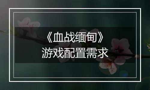 《血战缅甸》游戏配置需求