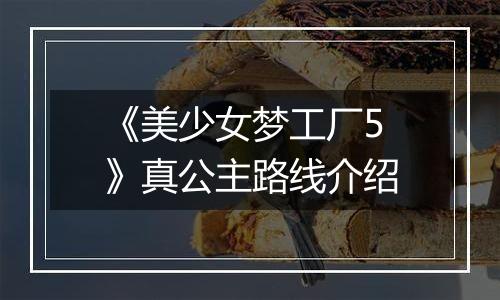 《美少女梦工厂5》真公主路线介绍