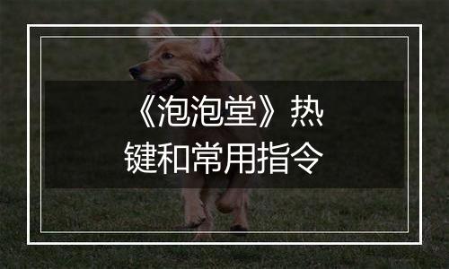 《泡泡堂》热键和常用指令