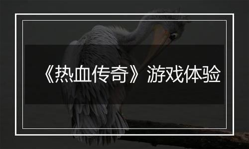 《热血传奇》游戏体验