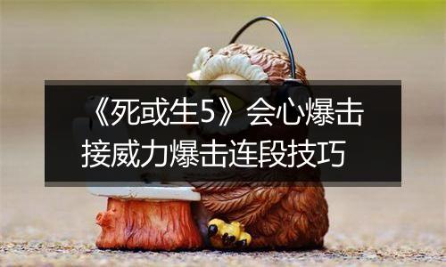 《死或生5》会心爆击接威力爆击连段技巧