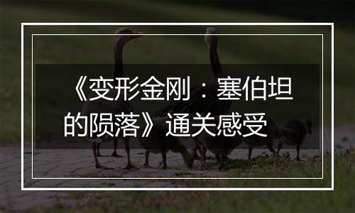 《变形金刚：塞伯坦的陨落》通关感受
