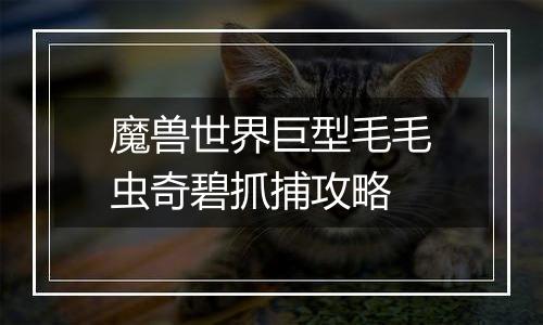 魔兽世界巨型毛毛虫奇碧抓捕攻略