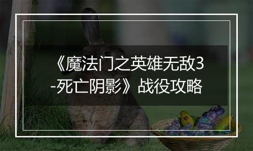 《魔法门之英雄无敌3-死亡阴影》战役攻略