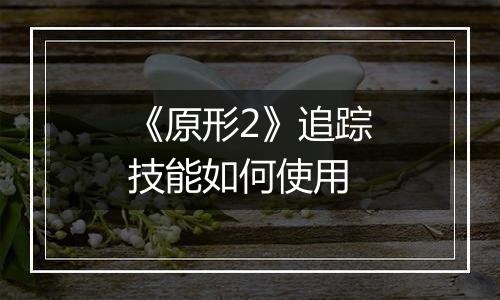《原形2》追踪技能如何使用