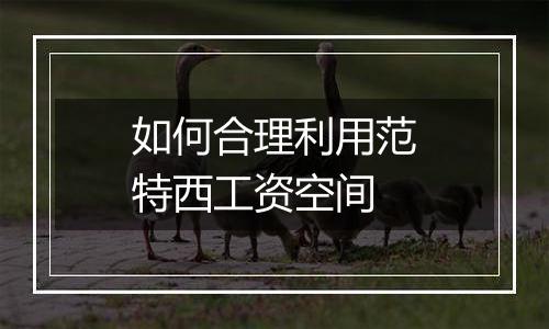 如何合理利用范特西工资空间