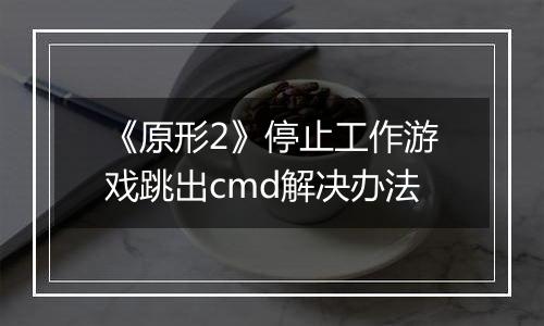 《原形2》停止工作游戏跳出cmd解决办法