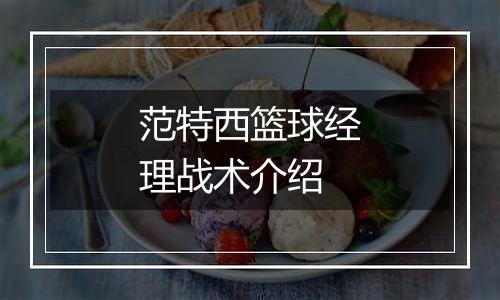 范特西篮球经理战术介绍